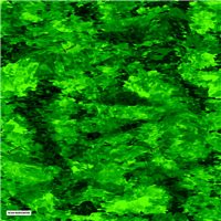 Raider Conceament Scimitar